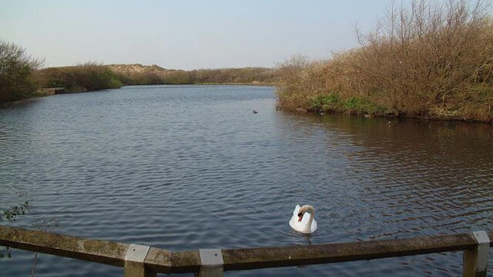 Ainsdale Nature Reserve. There's lots to photograph in this square. This is the lake in the northwest corner. A boardwalk path runs all the way round.