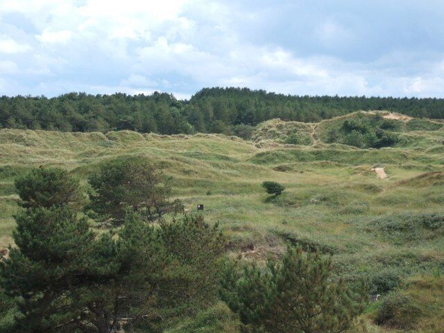 Ainsdale Dunes Looking south, with pine woods beyond