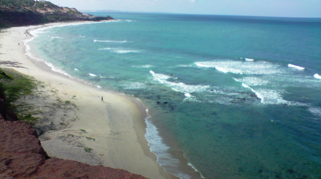 0_6425c2d9-3c96-414e-88f6-0b62557777b0_raw