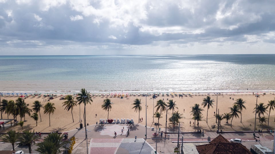 A beach with palm trees, a clear sky, and a calm sea.