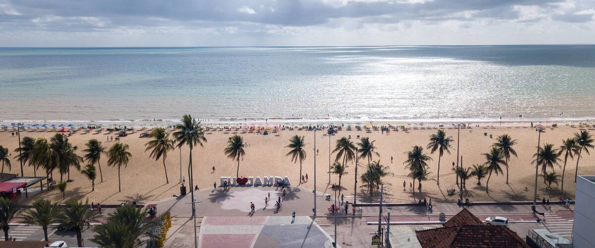 A beach with palm trees, a clear sky, and a calm sea.