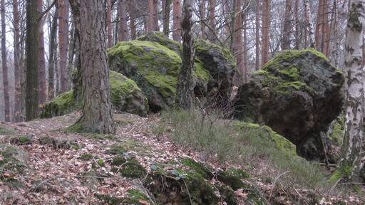 Eisensteine bei Todenfeld; ehemaliger Eisenerzabbau