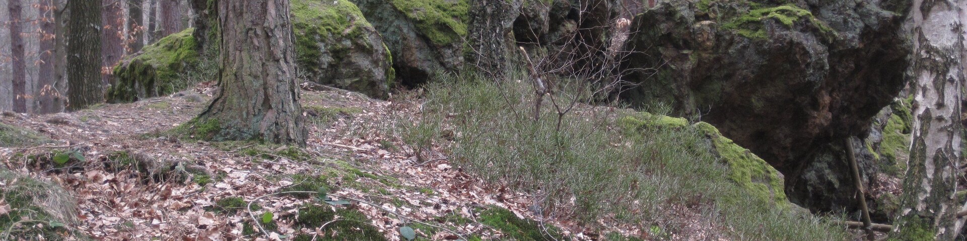Eisensteine bei Todenfeld; ehemaliger Eisenerzabbau