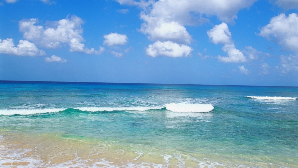 Paynes Bay, Barbados, Caribbean