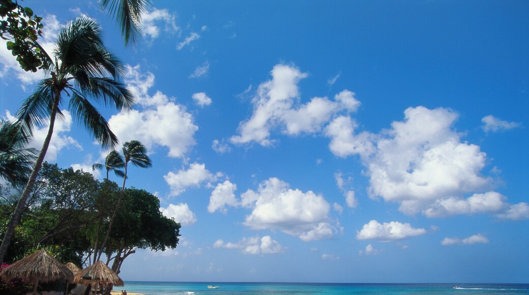 Beach at Paynes Bay, Barbados, Caribbean