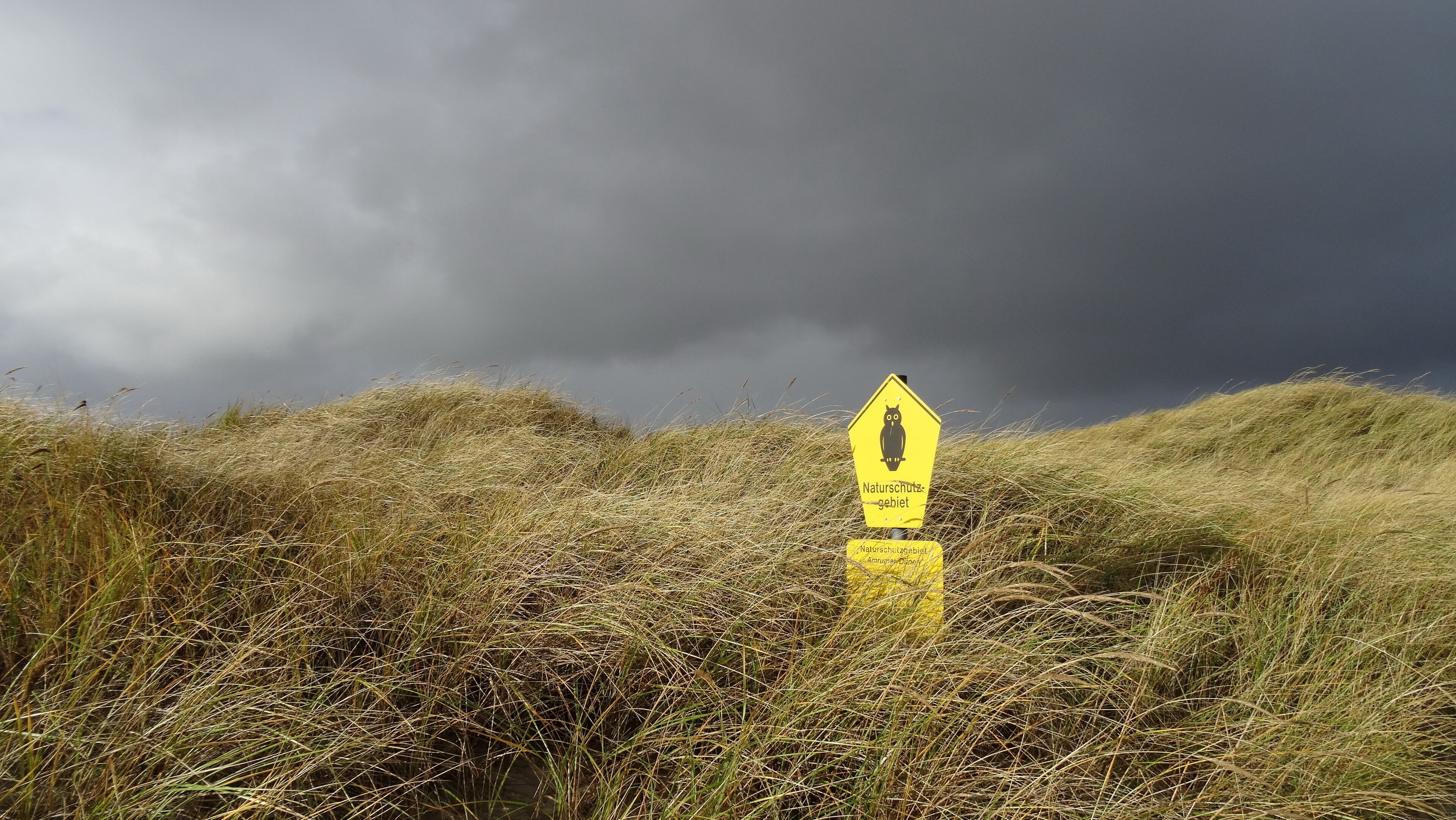 Information sign in the "Nationalpark Wattenmeer" on the Island Amrum in the Northsea