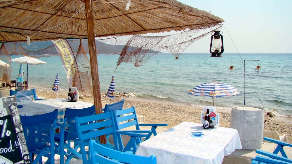 Ein Café direkt am Strand mit blauen Stühlen und Tischen, einem Reetdachschirm und einem durch Netz gesicherten Fischbereich.
