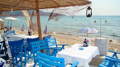 A beachside café with blue chairs and tables, a thatched umbrella, and a netted fishing area.