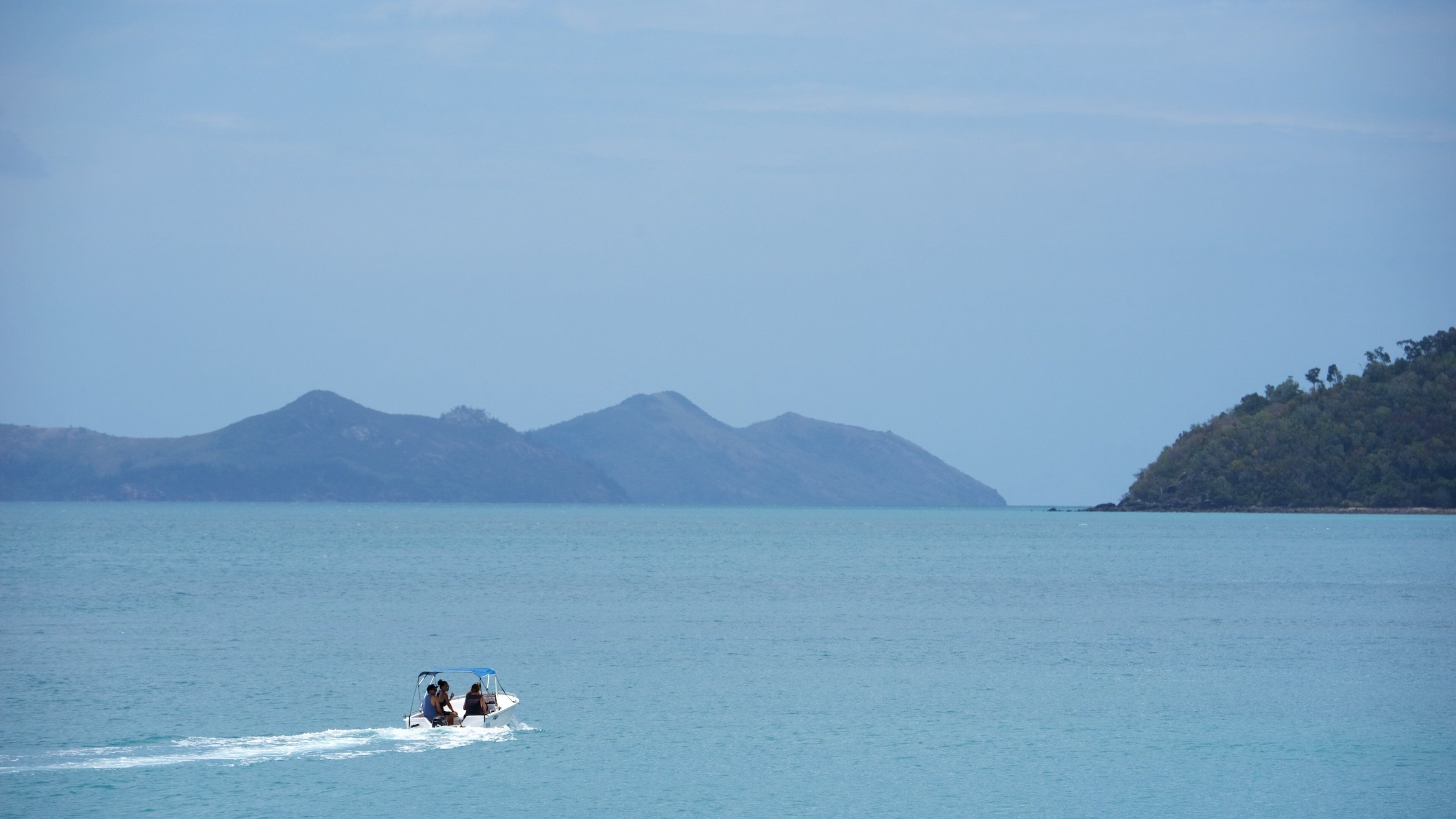 Hamilton Island Marina som visar båtkörning, landskap och kustutsikter