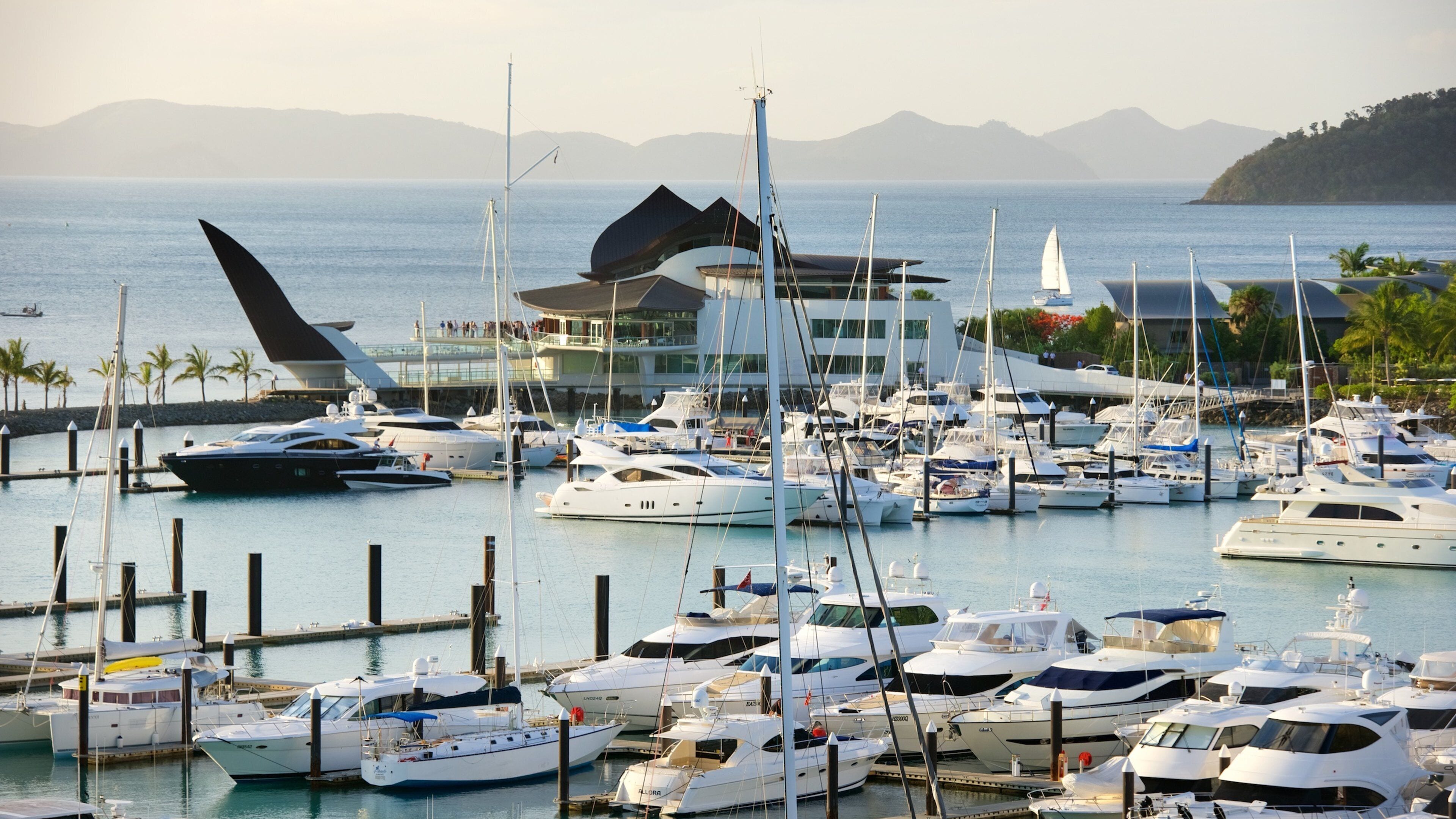 A marina with numerous yachts docked, a large sailboat with a distinctive sail, and a building with a modern design in the background.