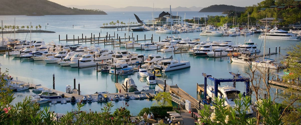 A marina with numerous yachts docked, surrounded by water and greenery.