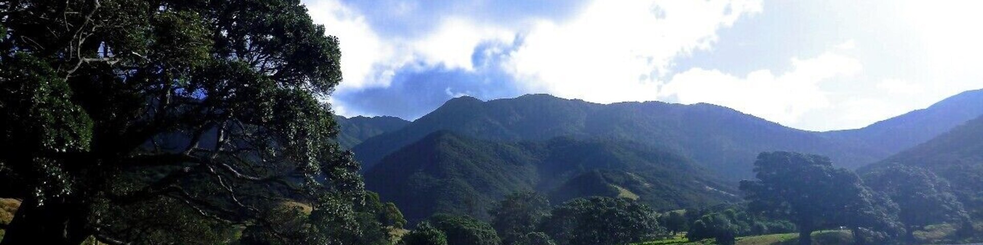 This campground is also located at the top of the Coromandel, but on the other side (there is no road at attaches them).
As the name suggests, the beach itself is “stony” and surrounded by lush forest, streams and wildlife. There is a “secret” sandy beach just up the road that you have to bush walk to get to but it’s nice and secluded.
There is a pack of ducks here that have obviously been fed too many times before and will chase you down when you first arrive, even if you haven’t fed them. They can hear the rustle of a chip bag from a mile away and literally come running towards you. And they will sleep outside your tent at night, follow you into the shower and wait for you at the bottom of the tree you’ve climbed up. They’re crazy! Good thing I like ducks.
The campsite is at the beginning/end of the Coromandel Coastal Walkway which takes you to Fletcher Bay (next door to Port Jackson) and takes six hours to complete, but you can hike up part of it to check out the good views. I’d definitely stay here again.
It was $10NZD/person/night and empty in April!
