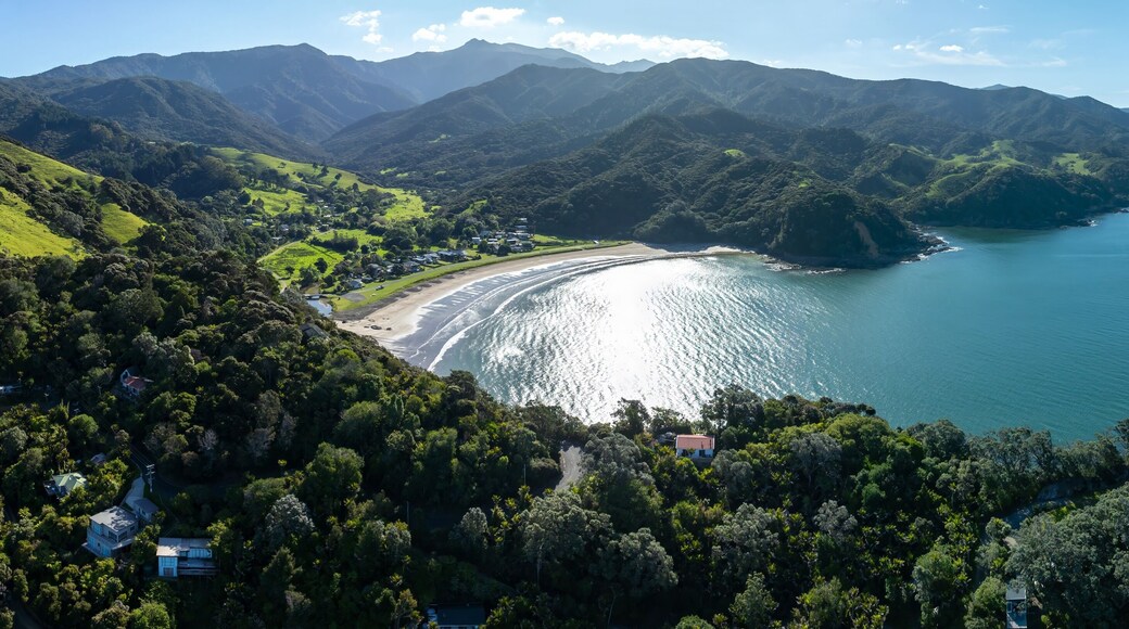 Aerial view of a secluded bay with a sandy beach nestled amongst lush green hills and mountains. Coastal homes are visible along the shoreline. PORT CHARLES, COROMANDEL PENINSULA, NEW ZEALAND