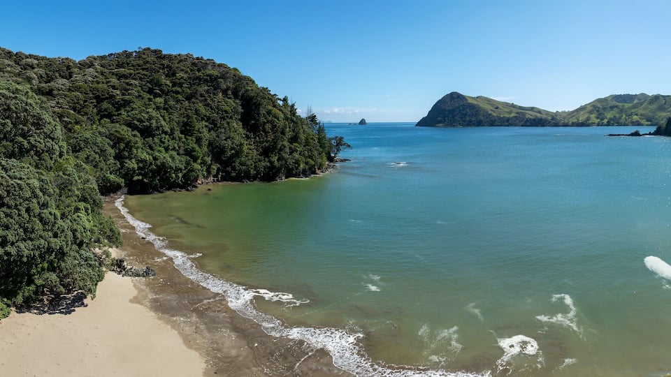 Tranquil bay scene with lush green hills, gentle waves, and pristine beach. Coastal New Zealand beauty. , PORT CHARLES, COROMANDEL PENINSULA, NEW ZEALAND