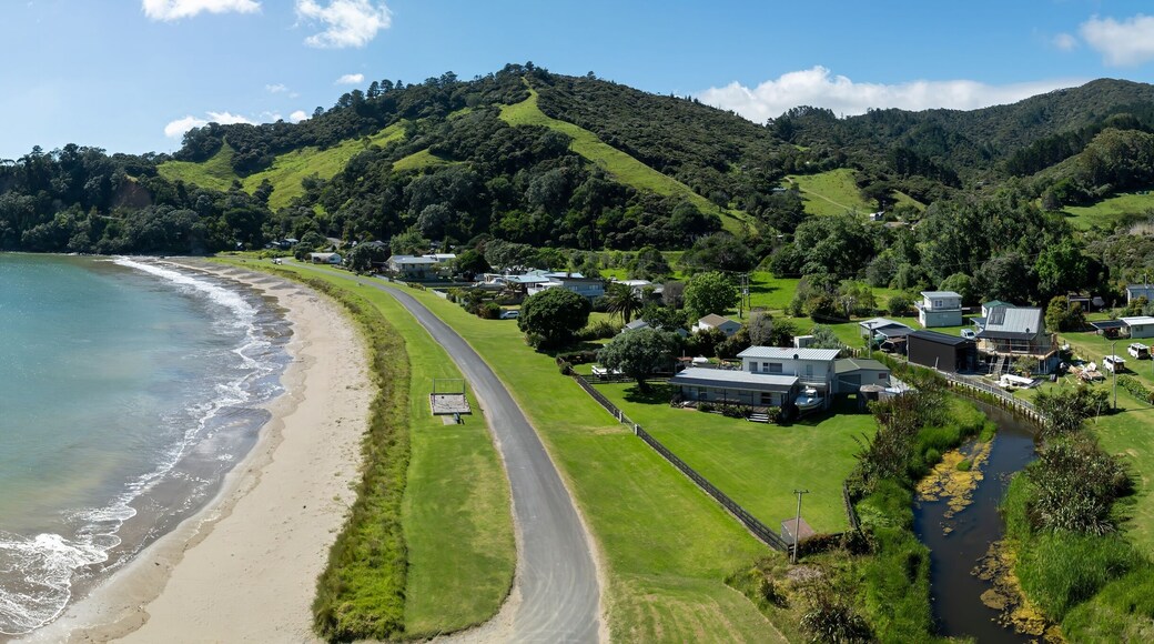 Aerial view of a coastal town nestled in a lush valley. Houses line a road by the beach, showcasing a peaceful seaside community. , PORT CHARLES, COROMANDEL PENINSULA, NEW ZEALAND