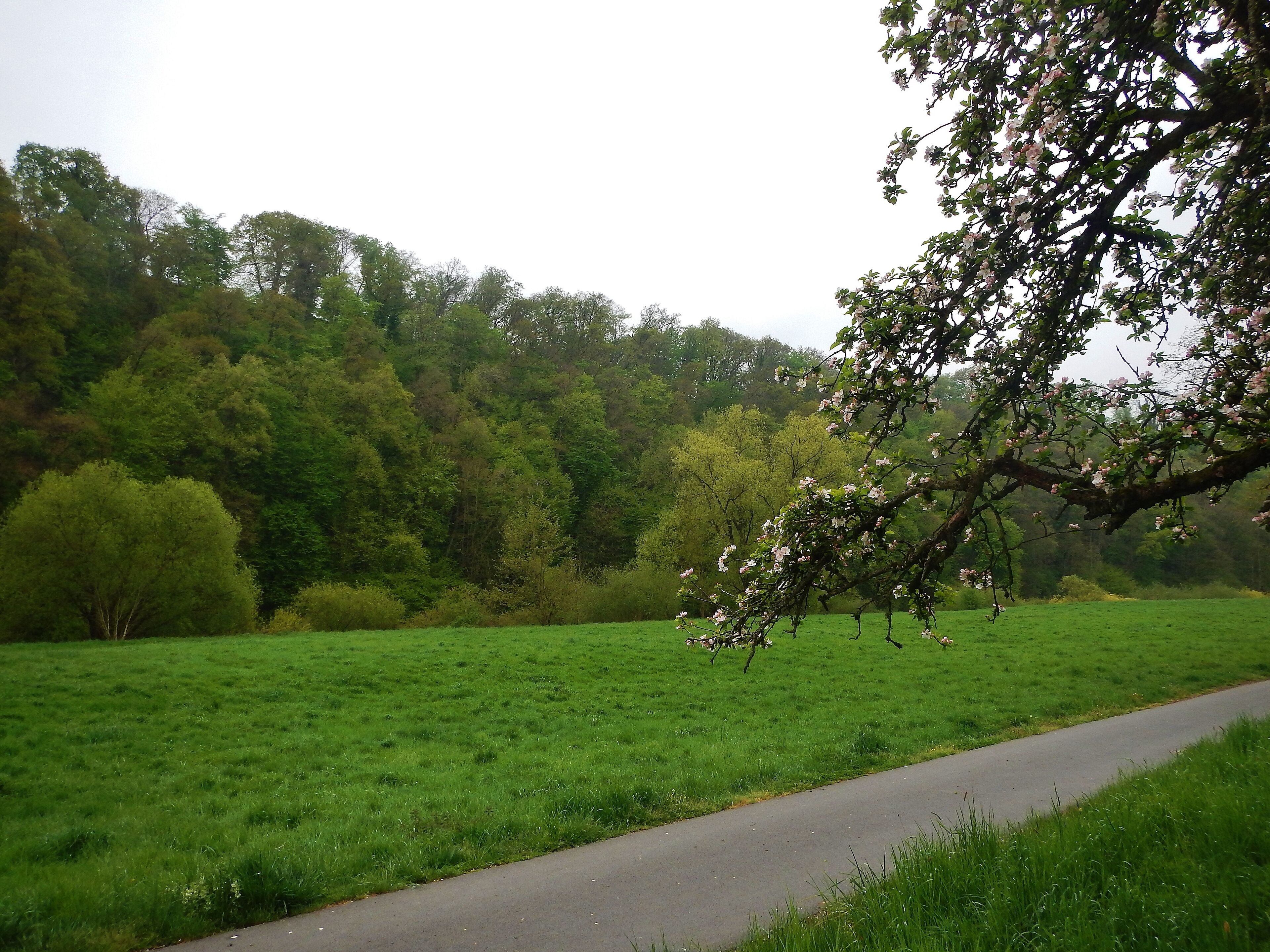 Hessischer Radfernweg R7 im Lahntal