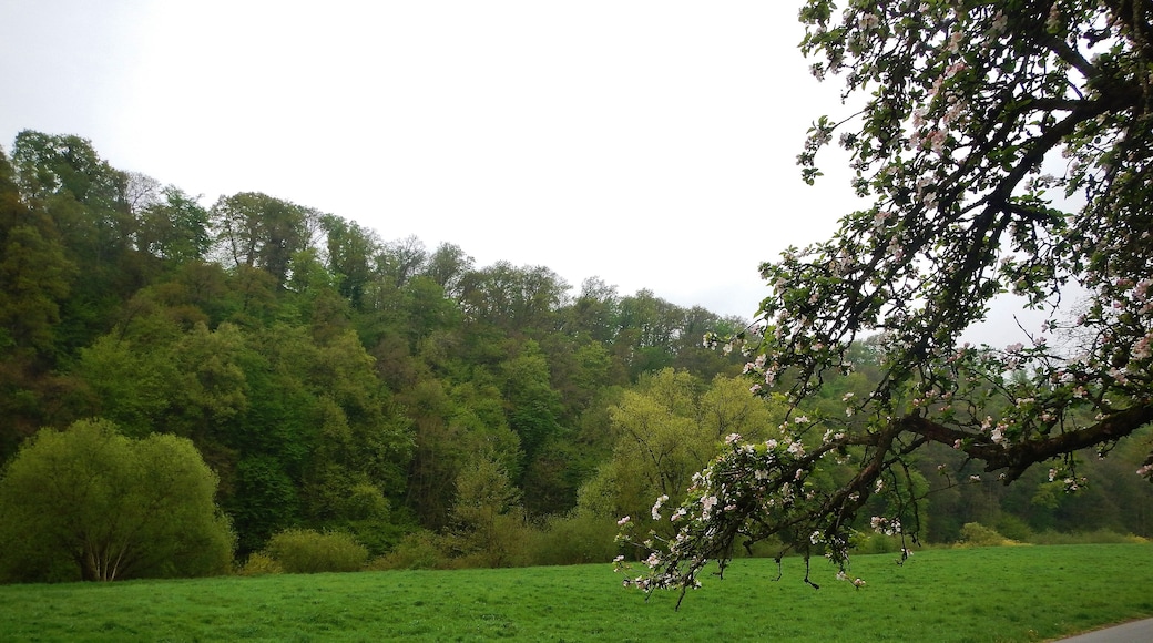 Hessischer Radfernweg R7 im Lahntal