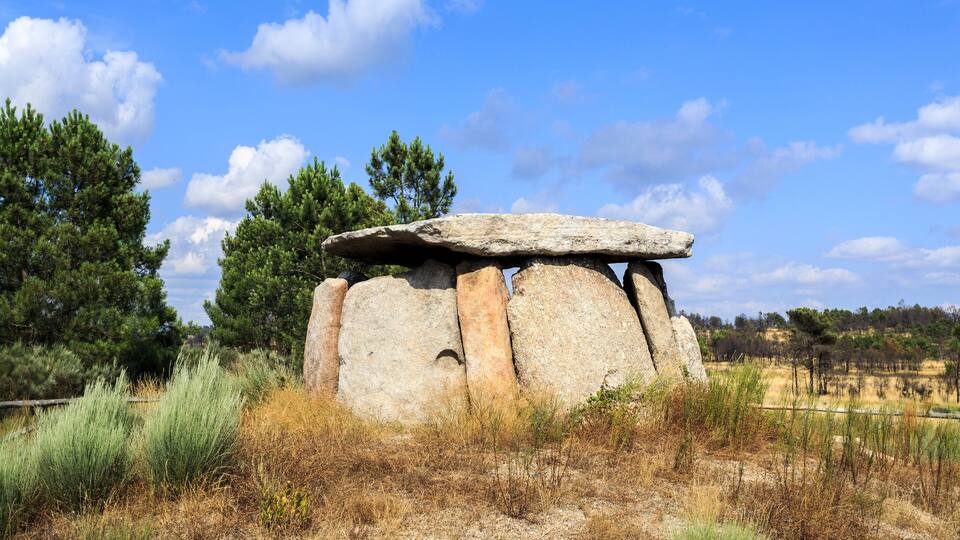 A stone circle with a flat-topped stone structure surrounded by dry grass and pine trees.