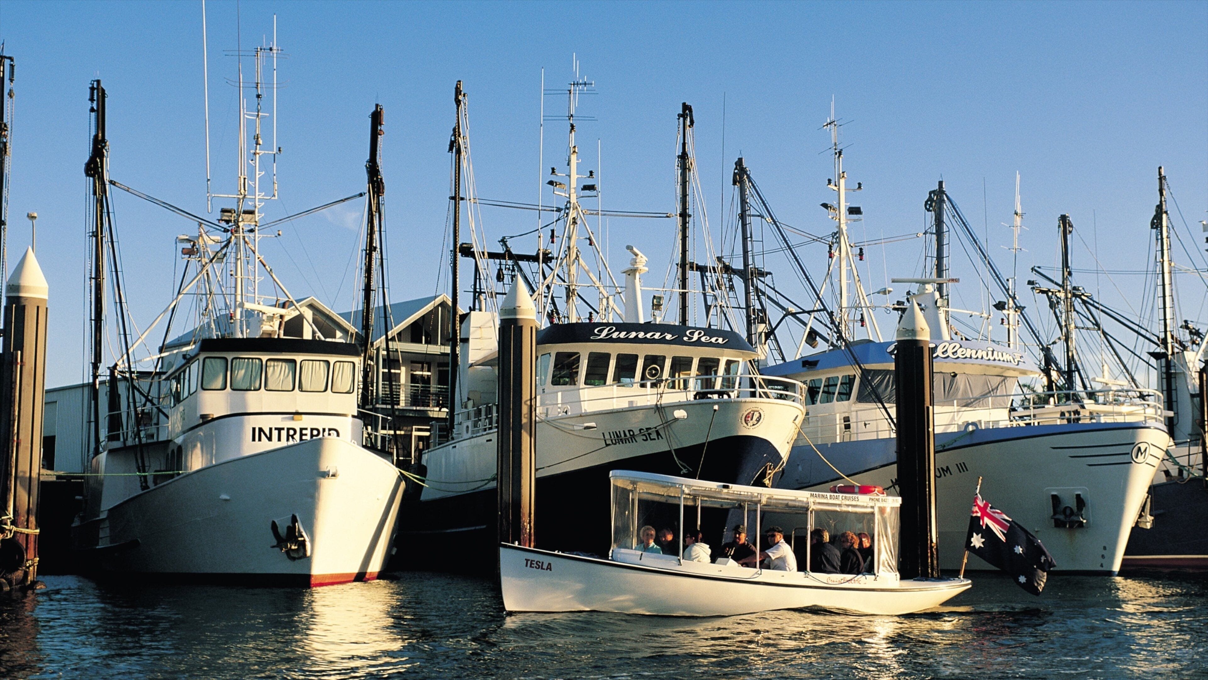Port Lincoln showing a marina and boating