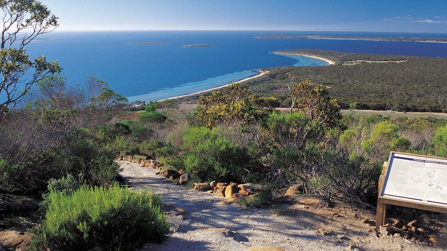 ポート リンカーン どの含み 自然の風景, 島の眺め と 山々