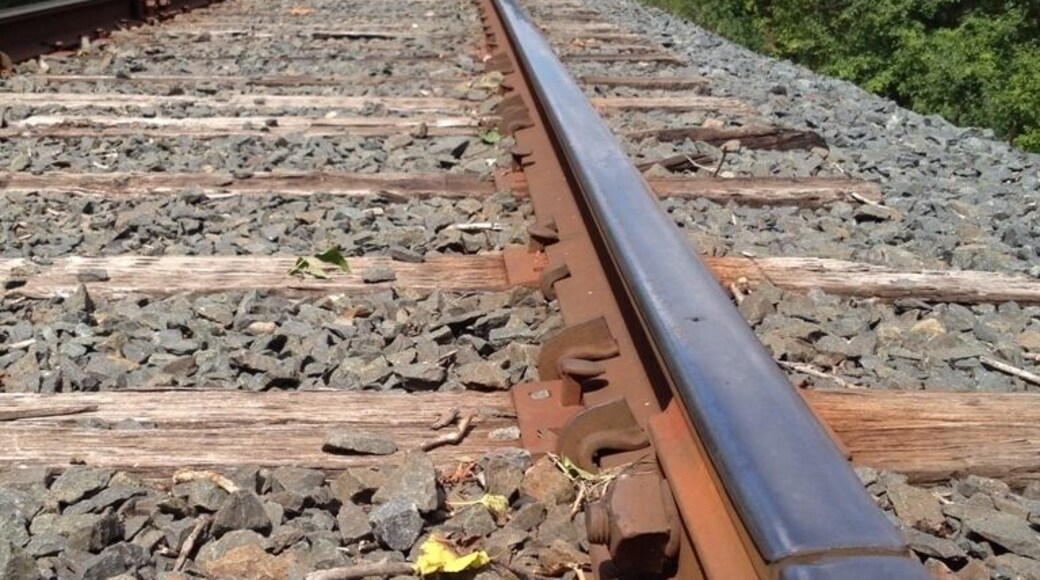 An easy beautiful hike- discover RR, tunnel, grass and swamp land! Beautiful day!