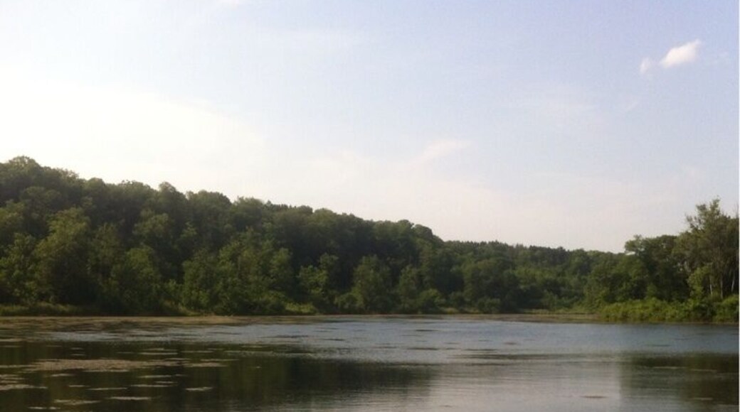 At William O'Brian State Park