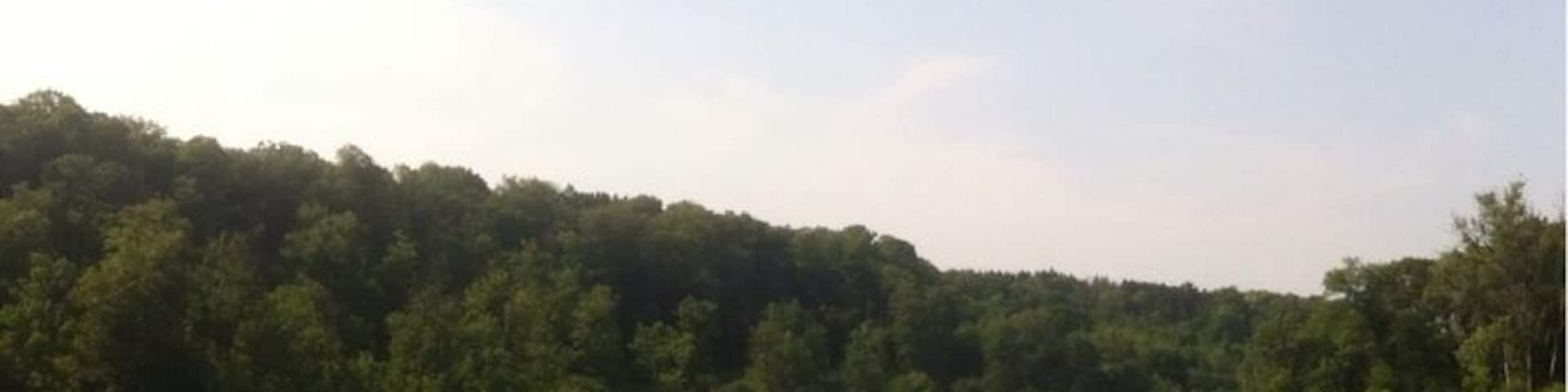 At William O'Brian State Park