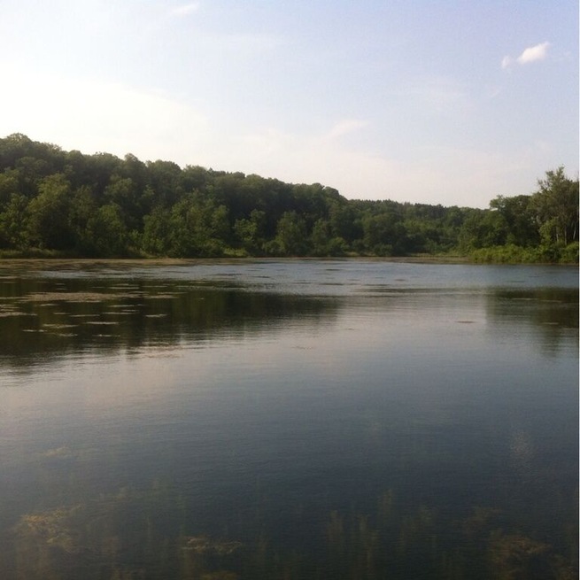 At William O'Brian State Park