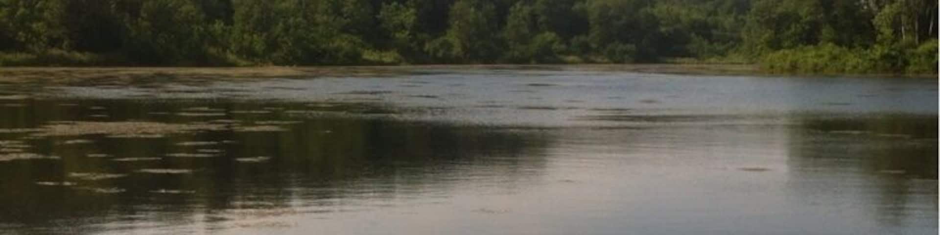 At William O'Brian State Park