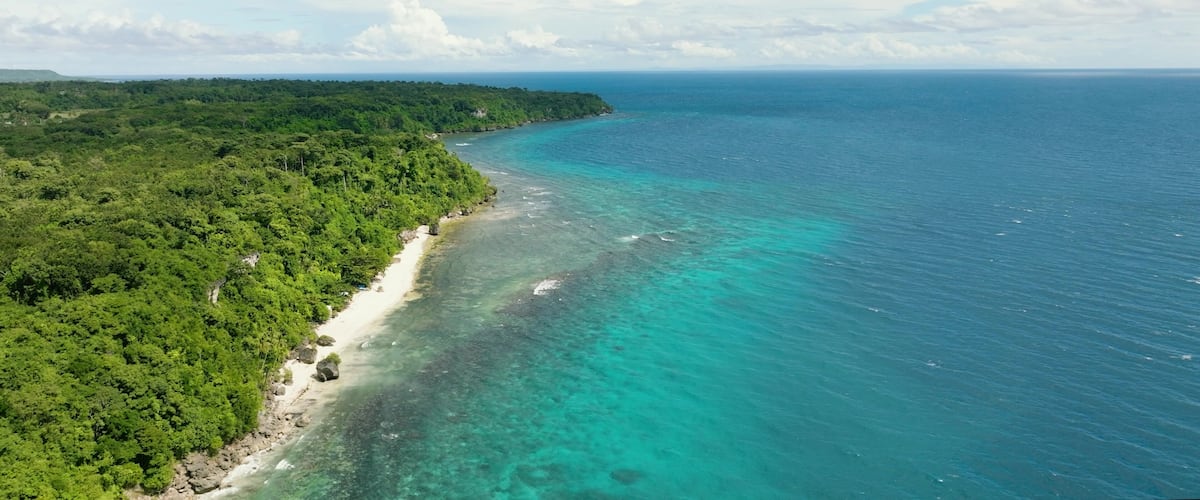 A coastal landscape with a sandy beach, dense green forest, and clear turquoise waters.