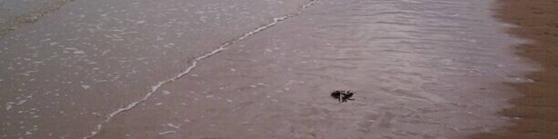 A place for peaceful reflection and gratitude. #WWII