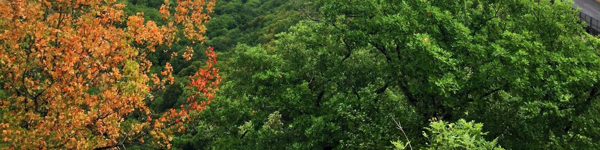 The little village of Autoire in between cliffs