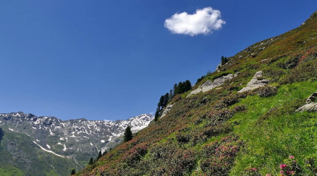 Parco naturale Gruppo di Tessa (Q1970690) Valle di Valmara