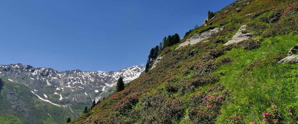 Parco naturale Gruppo di Tessa (Q1970690) Valle di Valmara