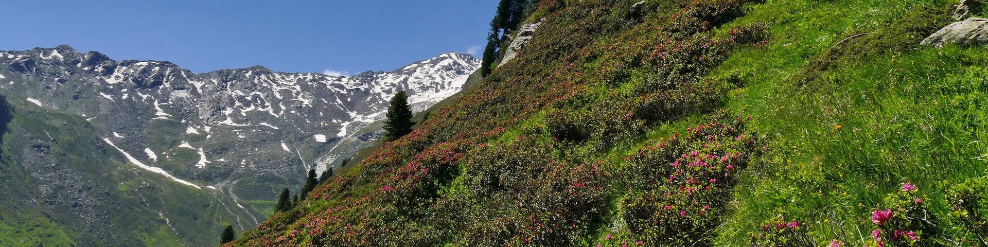 Parco naturale Gruppo di Tessa (Q1970690) Valle di Valmara