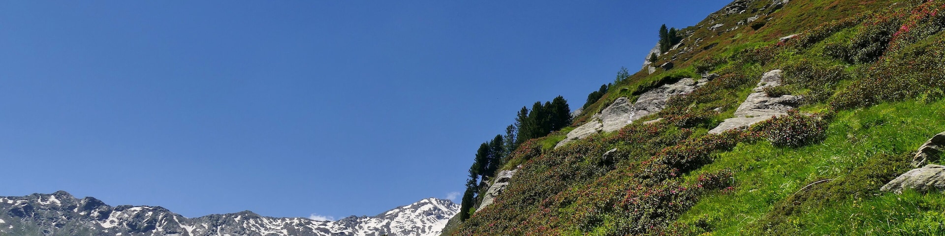 Parco naturale Gruppo di Tessa (Q1970690) Valle di Valmara