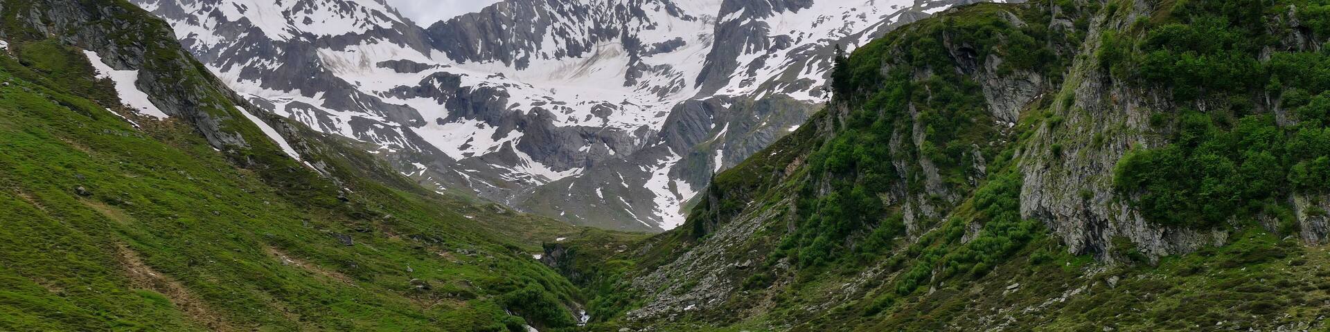 A mountain valley with a stream, green grass, and snow-capped peaks.