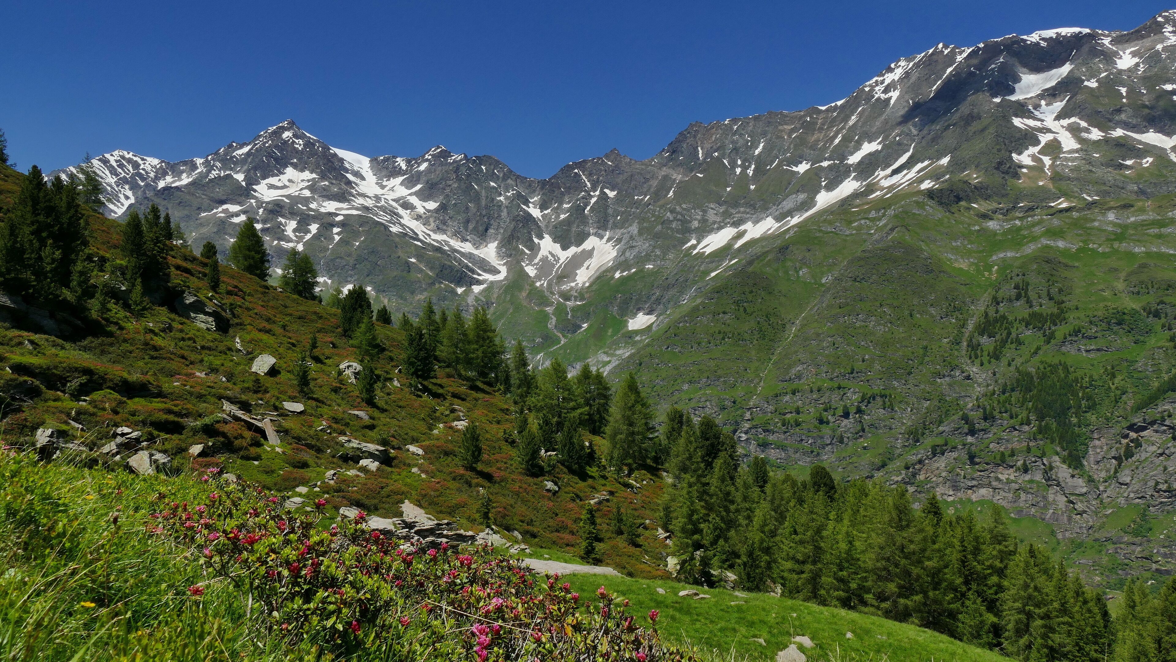 Parco naturale Gruppo di Tessa (Q1970690) Valle di Plan: Cima delle Anime, Cima della Chiesa