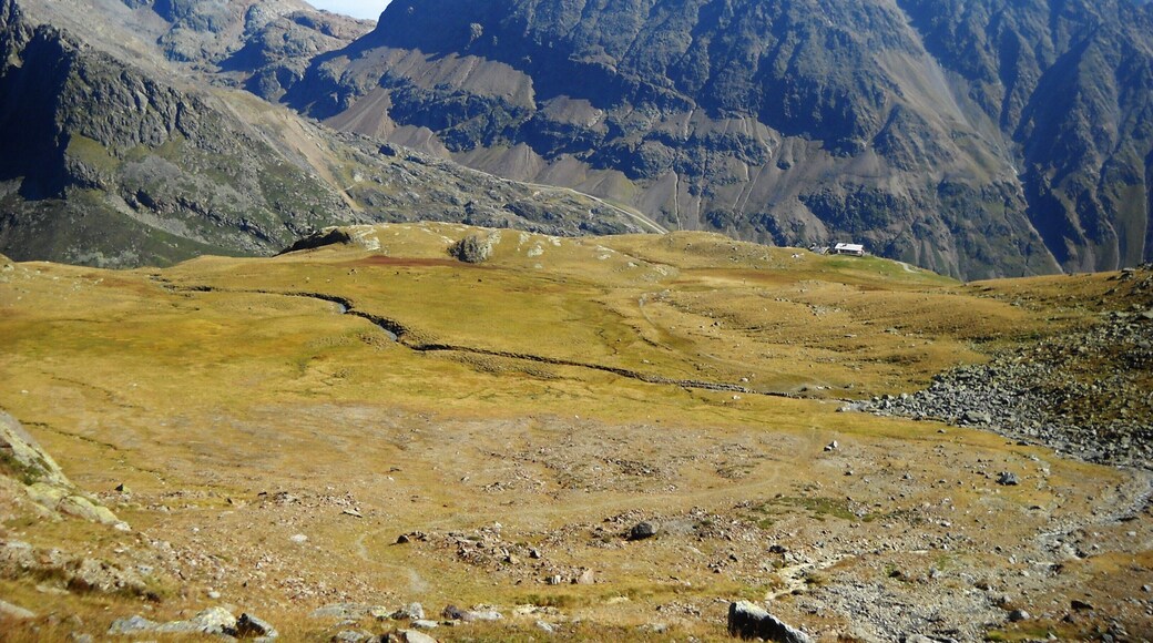 Altopiano di Lazaun (BZ) Torbiera bassa m 2425 slm