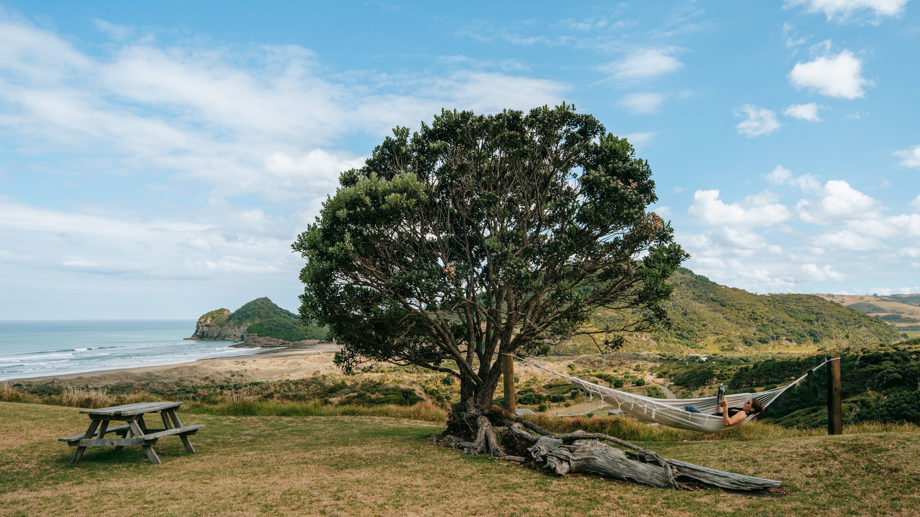 Bethells Beach showing general coastal views as well as an individual femail