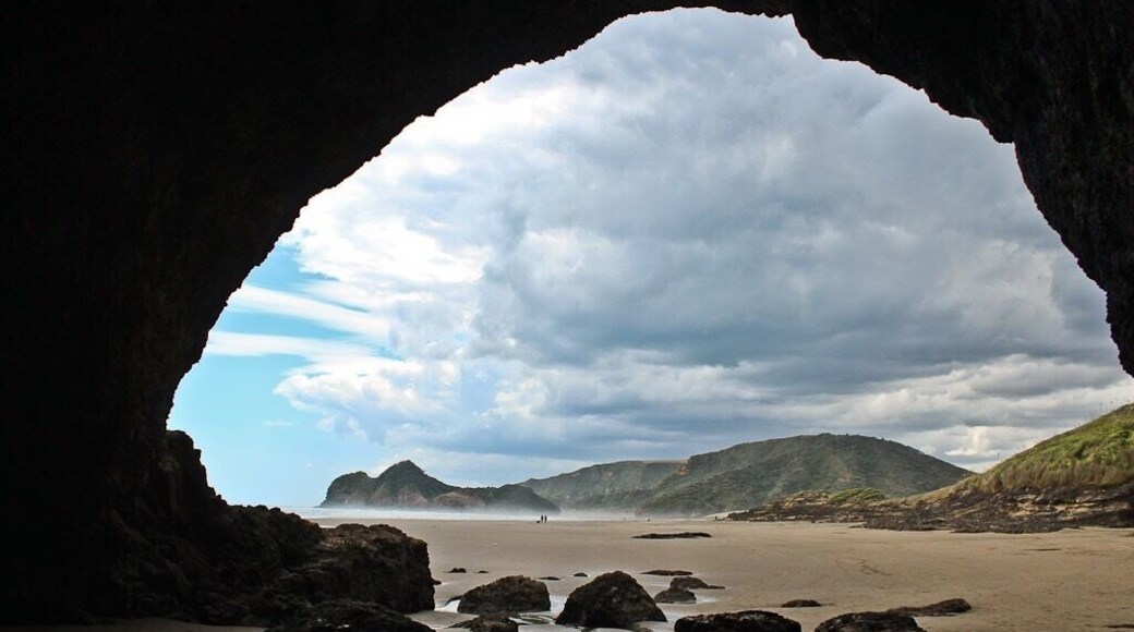 There are some amazing beaches close to Auckland - Bethells Beach being one of them. Check out the black sand (caused by high iron content from volcanic origin) and awesome sea caves! Wouldn't want to get trapped inside as the tide comes in though...