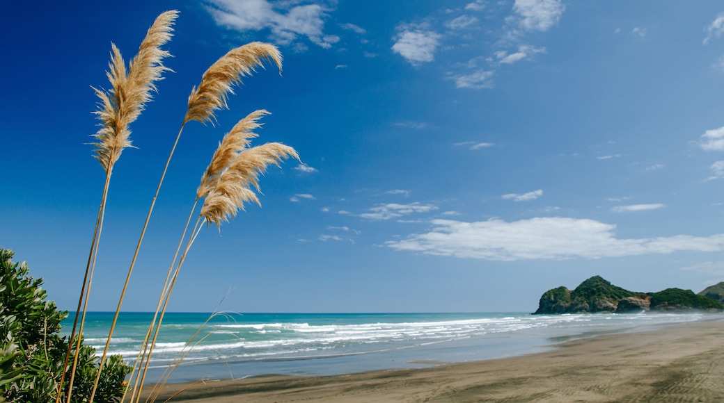 Bethells Beach showing a beach and general coastal views