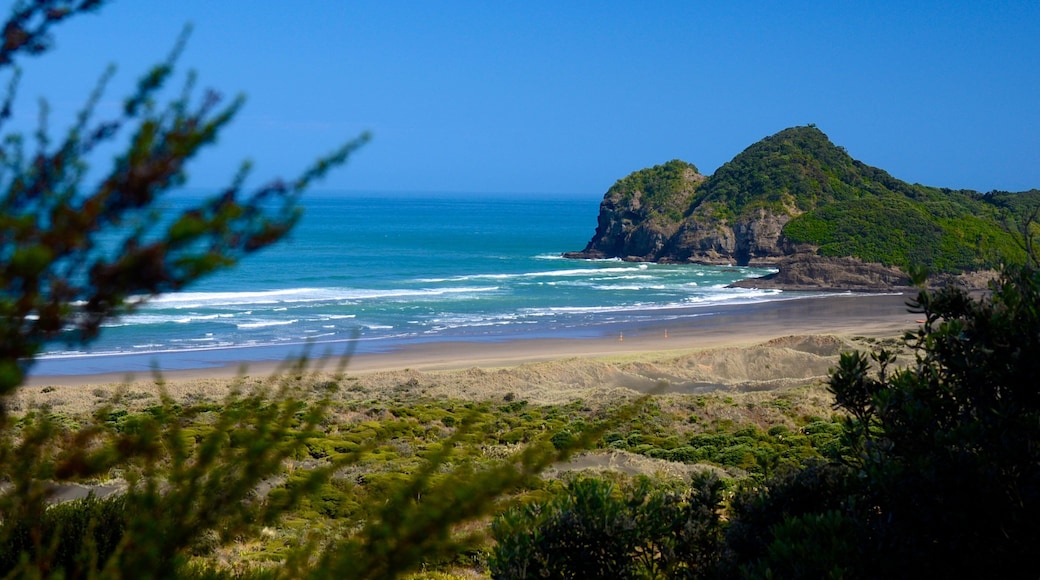 Bethells Beach bevat algemene kustgezichten en landschappen