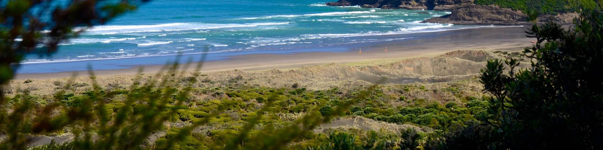 Bethells Beach showing landscape views and general coastal views