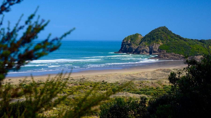 Bethells Beach featuring general coastal views and landscape views