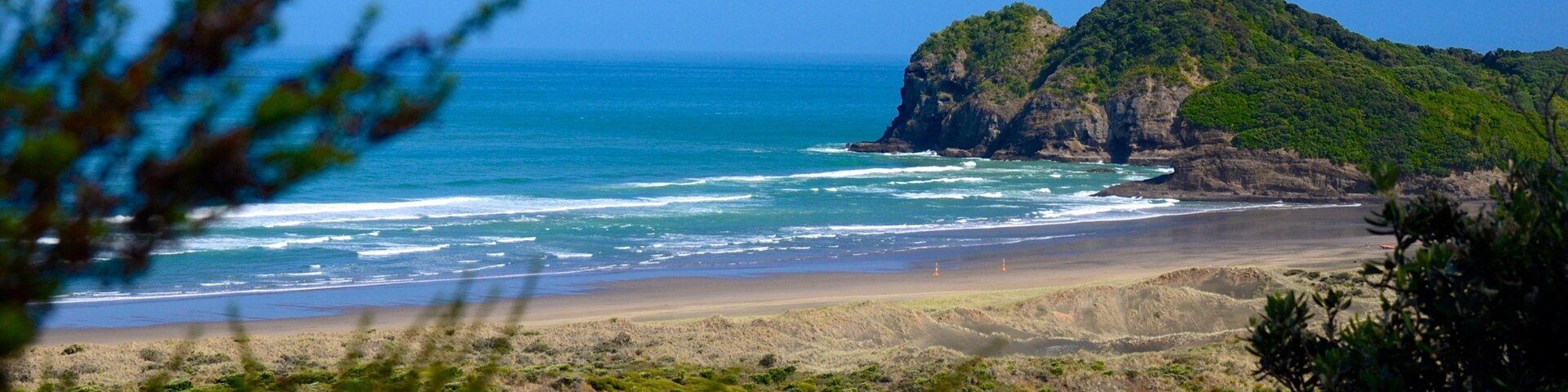 Bethells Beach showing landscape views and general coastal views