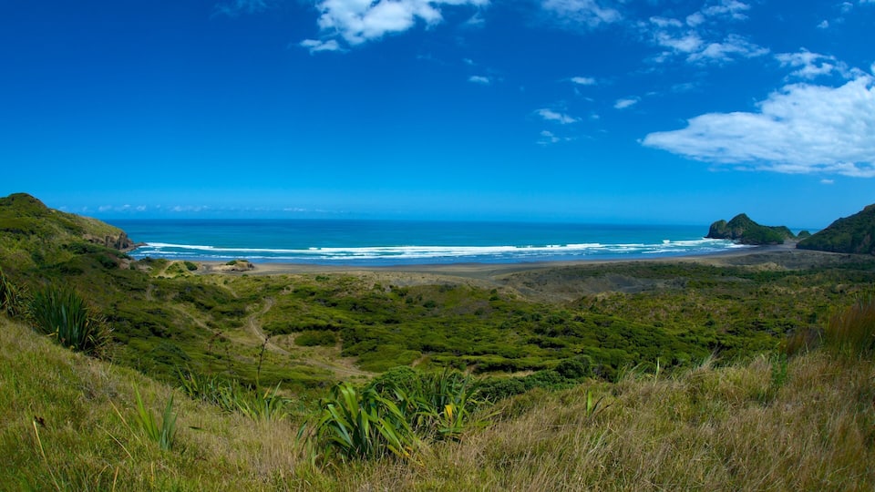 A coastal landscape with green hills, a beach, and the ocean.