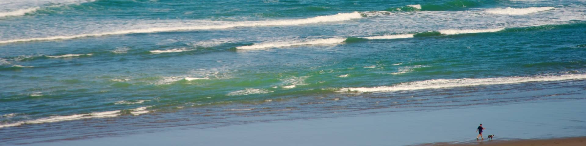 Bethells Beach featuring a beach, landscape views and tropical scenes