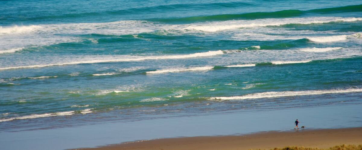 A beach with waves and a person walking a dog.