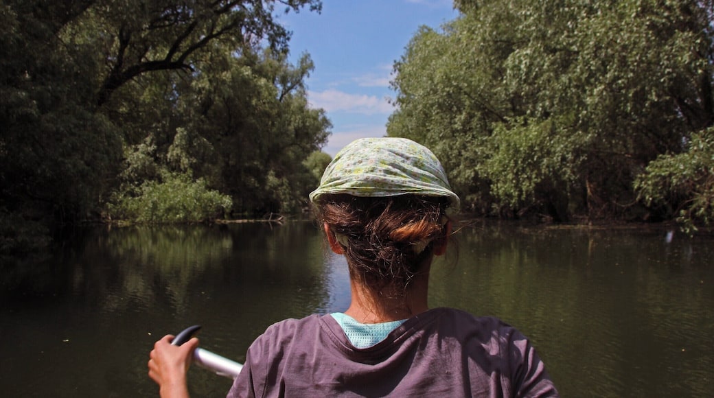 The Danube Delta Canoeing Experience
